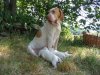 chiots de Salsa et Uron